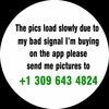 thelowlprofile